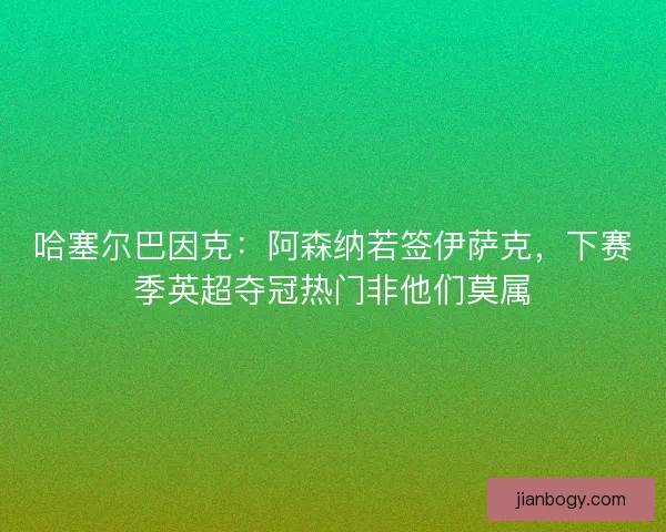 哈塞尔巴因克：阿森纳若签伊萨克，下赛季英超夺冠热门非他们莫属