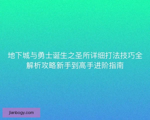 地下城与勇士诞生之圣所详细打法技巧全解析攻略新手到高手进阶指南